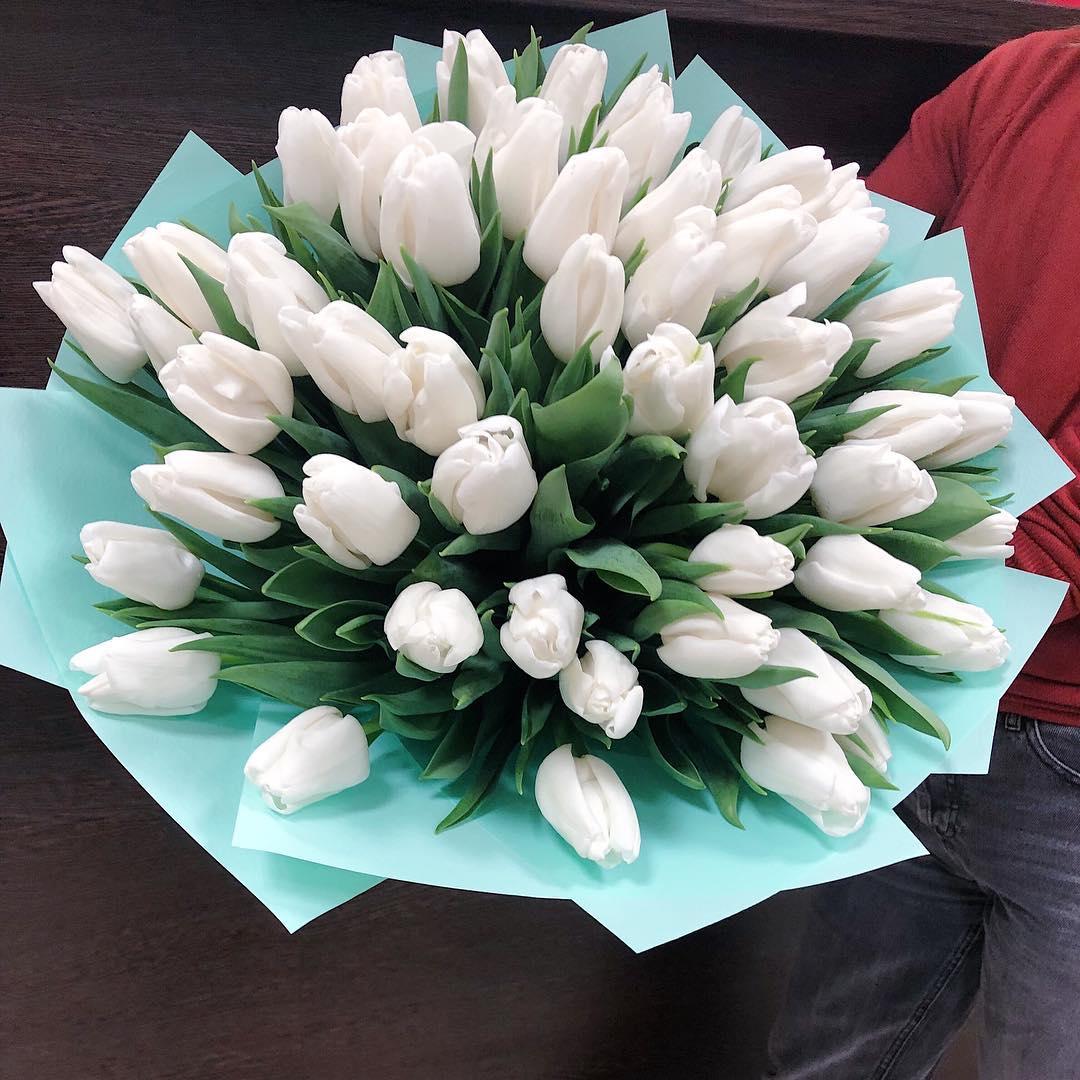 51 Белый тюльпан